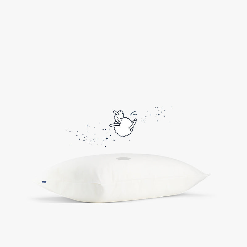 2 sous-taies d’oreiller